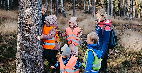 Förskola som är ute i skogen.